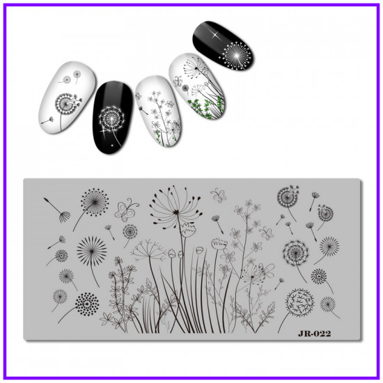 Dandelion stempling plate, flowers, summer JR-022, JR-022, Stemping,  All for a manicure,Gel varnishes ,  buy with worldwide shipping