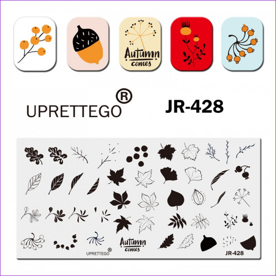 Uprettego JR-428 stamping plate plants, leaves, berries, rowan, fruits, autumn, maple, acorn, 952772190, Stamping UPRETTYGO,  Health and beauty. All for beauty salons,All for a manicure ,Gel varnishes, buy with worldwide shipping