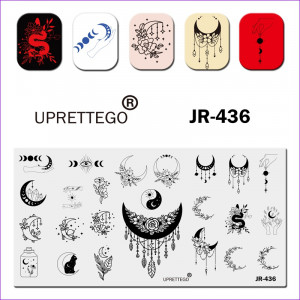 Plaque d'estampage JR-436 Night Moon Dream Catcher Chat Fleurs Plantes Lune Plumes Oeil Serpent Pot Mains Uprettego