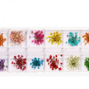 Um conjunto de flores secas coloridas em um recipiente 12 cores 061