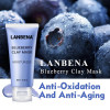 Máscara facial de arcilla de extracto de arándano Lanbena refrescante anti-envejecimiento limpieza profunda eliminación de grasa retráctil poros nutritiva-952732819-Lanbena-Belleza y salud. Todo para salones de belleza