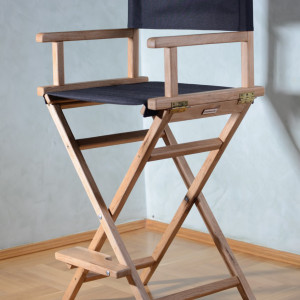 Director's chair