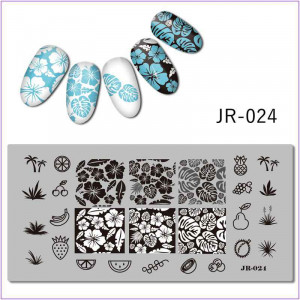 JR-024 Placa de impressão de unhas Frutas Uva Pera Bagas Folhas Palmeira Cereja Abacaxi