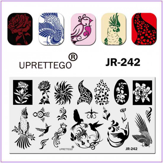 JR-0242 placa de estampagem de unhas, placa de estampagem, papagaio, andorinha, rosa, flores, pássaros, monogramas