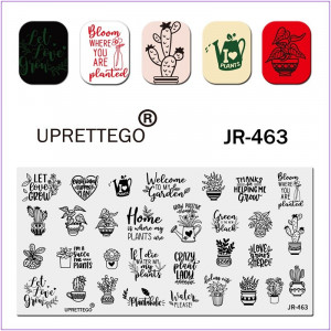 Пластина для печати на ногтях JR-463, кактус, лейка, домашнее растение, вазон, зелень, листья, стемпинг для ногтей